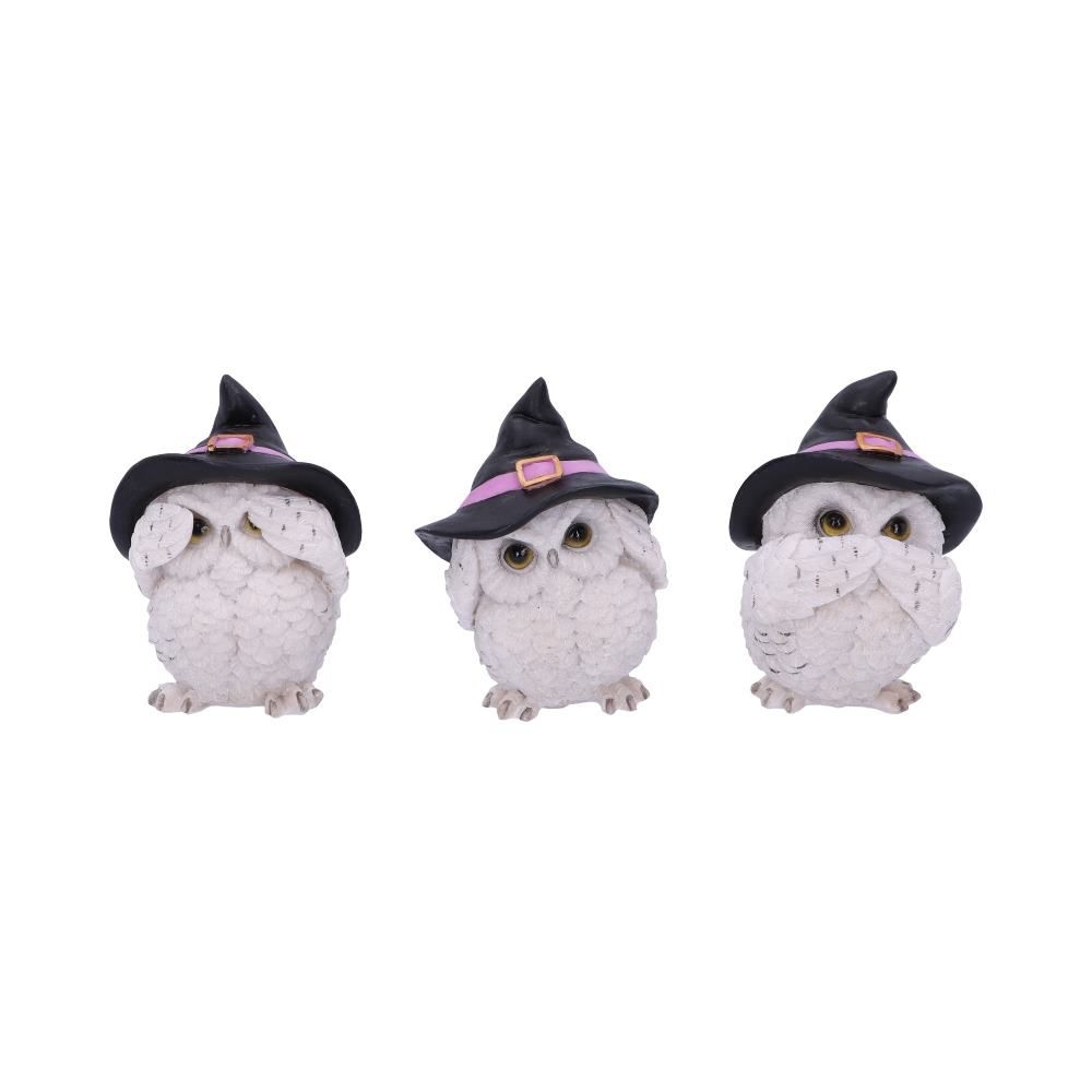 Nemesis Now - Three Wise Feathered Familiars Dekorative Figuren - Eule - Mehrfarben